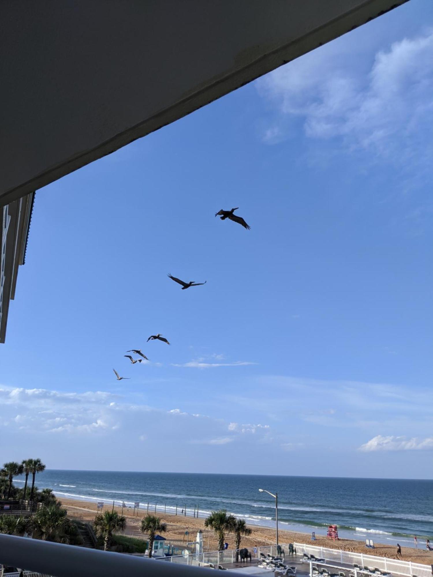 Royal Floridian Resort By Spinnaker Ormond Beach Exteriör bild